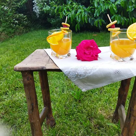 Nomad Alp Bed & Breakfast *