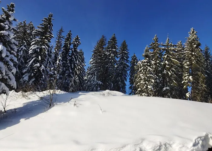 Nomad Alp 3* Marthod