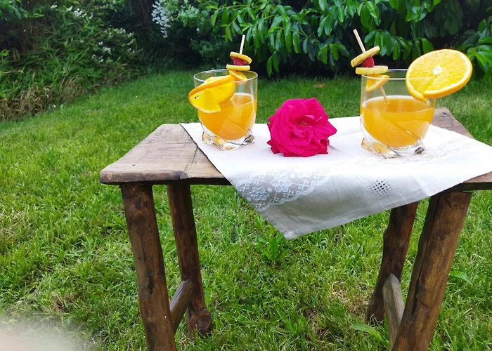 Nomad Alp Bed & Breakfast 3*