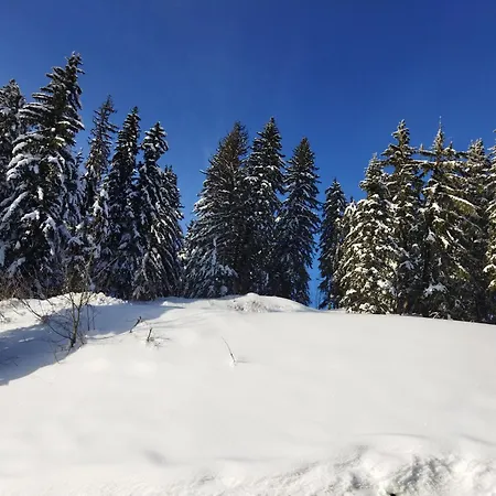 Nomad Alp 3* Marthod