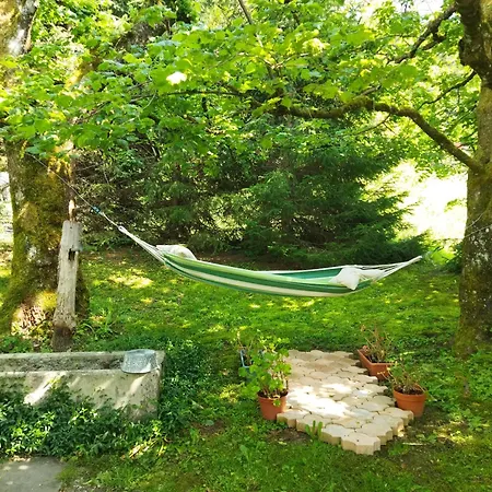 Nomad Alp Marthod